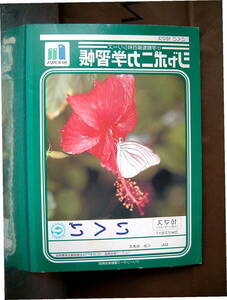 ジャポニカ　学習帳　虫　蝶　花 こくご　学用3号 ◆　廃盤　レトロ　　１７９X２５２mm　未使用