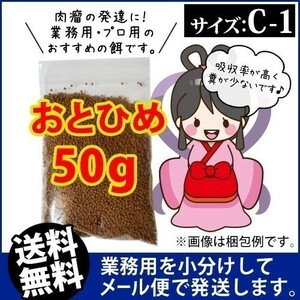 040-03-004 ★追跡なし★ お試し 日清丸紅飼料おとひめC1（沈降性）50g ※メール便　金魚小屋-希-福岡