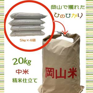 【新米・精米仕立て】【中米】令和5年　岡山県産　ひのひかり　中米　白米　20㎏