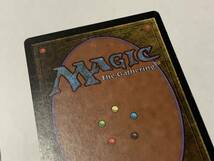 B）MAGIC The Gathering　マジックザギャザリング　2枚セット　サイン入り　赤の防御円　白枠　黒枠　英語版　追加写真あります_画像9