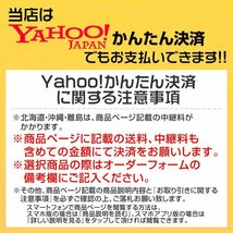 フロアジャッキ デュアルポンプ ガレージジャッキ 低床ジャッキ 油圧ジャッキ アルミジャッキ アルミ 3t Wポンプ 95mm ⇔ 485mm 丸型パッド_画像10