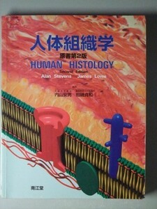 c6古本【医学】※難あり 人体組織学 HUMAN HISTOLOGY 原書第2版 南江堂