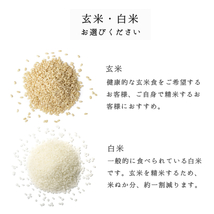 新米 米 お米 10kg 5kg×2袋 山形県産 あきたこまち 送料無料 玄米 白米 精米無料 新米 令和5年産 一等米 10kg 20kg も販売中_画像5