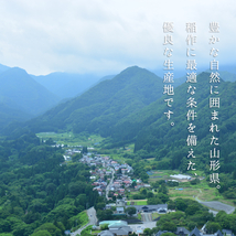 新米 米 お米 30kg 10kg×3袋 山形県産 あきたこまち 送料無料 玄米 白米 精米無料 新米 令和5年産 一等米 10kg 20kg も販売中_画像7