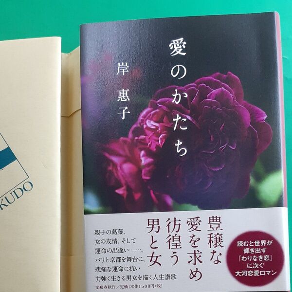 愛のかたち 岸惠子/著 初版 帯あり 書店のカバー付き ハードカバー単行本