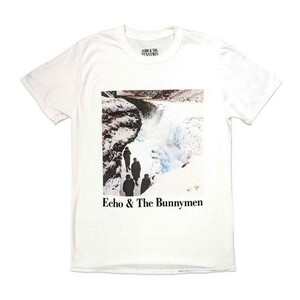 Echo & The Bunnymen バンドTシャツ エコー＆ザ・バニーメン Porcupine S