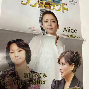 2012年　アリスインワンダーランド特集　冊子