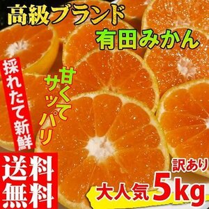 みかん 5kg 訳あり 和歌山 有田みかん ありだみかん 農家直送 温州みかん フルーツ 果物