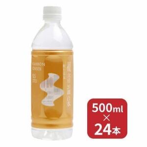 観音温泉水　500ml × 24本（1ケース） / 飲む温泉 / ミネラルウォーター　賞味期限2026 シリカ　訳あり　アウトレット　セール　大特価