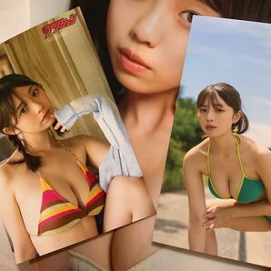 菊地姫奈 セット 漫画アクション 11/7号 未開封 限定ポストカード 2枚 ABコンプリート付き　クリアファイル付き　no.21