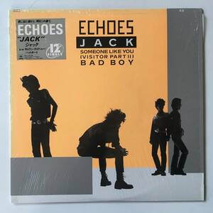 2393* eko -zECHOES/JACK SOMEONE LIKE YOU(VISITOR PARTⅡ)BAD BOY/12AH1936/12inch LP analogue record 