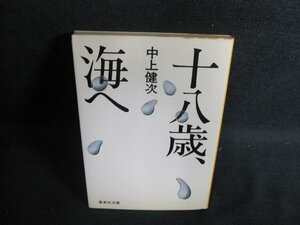 十八歳、海へ　中上健次　シミ日焼け強/PAZC