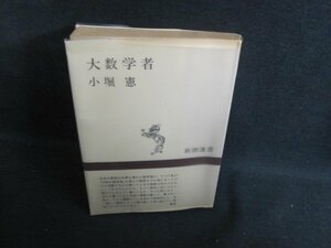 大数学者　小堀憲　シミ大・日焼け強/PEI