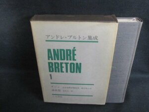 アンドレ・ブルトン集成1　シミ大・日焼け強/PEZG