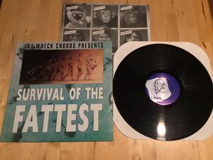 【LP】FAT WRECK RECORDS PRESENTS SURVIVAL OF THE FATTEST (FAT538-1) / FAT MUSIC VOLUME 2 / インサート付