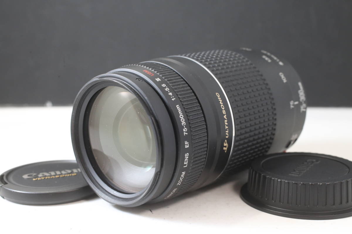 2023年最新】Yahoo!オークション -canon ef 75-300mm f4-5.6 iiiの中古