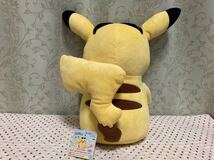 ポケットモンスター　ポケモン　めちゃもふぐっとぬいぐるみ　ぬいぐるみ　Pokmon summer～ピカチュウ～　非売品　プライズ品_画像3