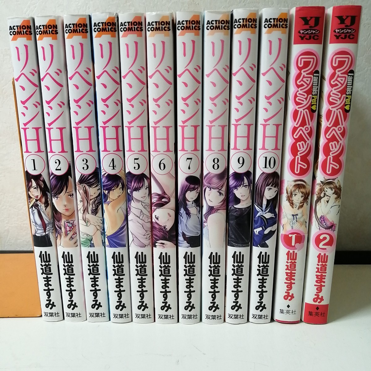 2023年最新】Yahoo!オークション -仙道(本、雑誌)の中古品・新品・古本一覧