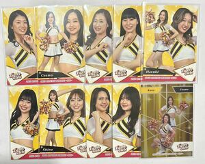 レギュラーカード 全9種 コンプ + インサートカード 2023 BBM 舞 プロ野球チアリーダーカード TigersGirls 阪神タイガース Kana Cosmo 他