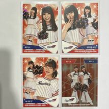 ホロPP パラレル + インサートカード RINA HIIRAGI MAYU RUNA SANA 2023 BBM 舞 プロ野球チアリーダーカード Passion ヤクルトスワローズ_画像1