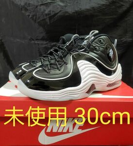 NIKE AIR PENNY II ナイキ エア ペニー2 DV0817 未使用