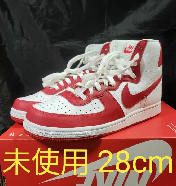 NIKE TERMINATOR HIGH ナイキ ターミネーター ハイ 28cm FJ4454