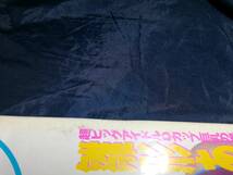 H⑦スコラ 1995年5.11　雛形あきこ　吉野れいか　キャティ　大仁田厚　薬師寺保栄　吉田真紀　藤井綾子　濱田マリ_画像1