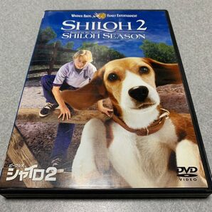 ビーグル犬 シャイロ2 特別版/ザッカリーブラウンスコットウィルソンアンダウドマイケルモリアーティボニーバートレットDVD