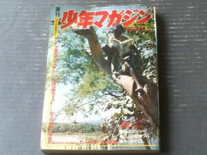 【週刊少年マガジン（昭和４５年１７号）】永井豪・桑田次郎・ちばてつや・ケン月影・川崎のぼる等