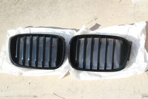 BMW G01 X3 パフォーマンスブラックGrille　美品