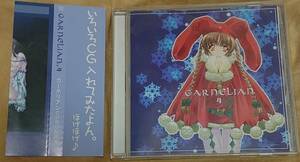 【CD-ROM画集 帯付き】カーネリアンCD-ROM画集「CARNELIAN 4」 いろいろCG入れてみたよん。ほげほげ♪