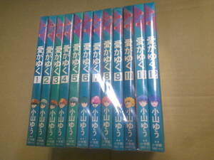 即決　愛がゆく 全12巻　小山ゆう　