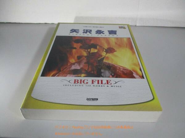 ギター弾き語り 矢沢永吉 BIG FILE　ビッグ・ファイル