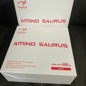 アミノサウルスサプリメントスポーツマラソン2箱セット