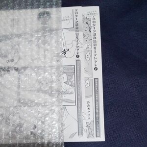 drap応募者全員プレゼントリーフレット２枚セット