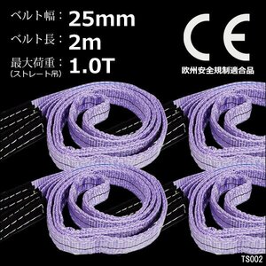 CE規格品 ベルトスリング ナイロンスリング 幅25mm×2m ストレート吊1T [4本セット] 両端アイ型 吊りベルト 荷吊 運搬 牽引/18ш