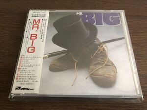 「MR.BIG」日本盤 旧規格 22P2-2789 帯付属 1st / Eric Martin / Billy Sheehan / Paul Gilbert / Pat Torpey / Addicted To That Rush