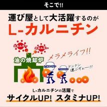 L-カルニチン（約3ヶ月分）l-カルニチンフマル酸塩 ダイエットサプリ 燃焼系 ダイエット　オーガランド _画像10