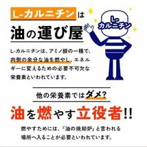 L-カルニチン（約3ヶ月分）l-カルニチンフマル酸塩 ダイエットサプリ 燃焼系 ダイエット　オーガランド _画像8