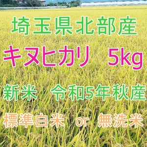 埼玉県北部産　 キヌヒカリ　5kg 標準白米 or 無洗米