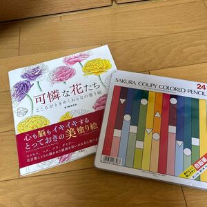 新品未使用ー大人の塗り絵and24色色鉛筆セット