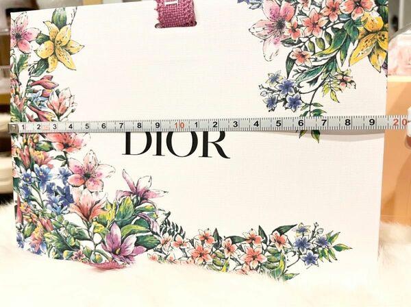 Dior ディオール 紙袋 クリスチャンディオール　ラッピング　プレゼント　ギフト