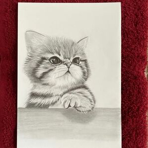A5 鉛筆画　原画　仔猫 手描きイラスト 猫の絵