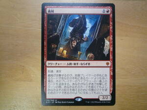 MTG　ELD　義賊/Robber of the Rich　日本語　プロモ　1枚