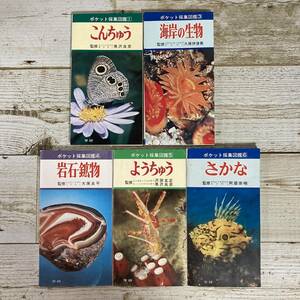 Ig0016 ■ ポケット採集図鑑　５冊セット ■1:こんちゅう/3:海岸の生物/4:岩石・鉱物/5:ようちゅう/6:さかな ＊レトロ＊ジャンク＊同梱不可