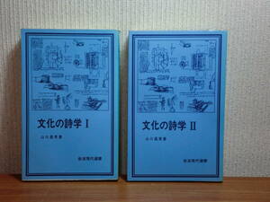 1801027w04★ky 岩波現代選書 文化の詩学 全2巻 山口昌男著 1983年 オクタビオ・パス 文化記号論 イエスの方舟の記号論 記号としての裸婦