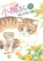 キジトラ猫の小梅さん(１１) ねこぱんちＣ／ほしのなつみ(著者)