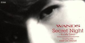 【８ｃｍ】Ｓｅｃｒｅｔ　Ｎｉｇｈｔ／ＷＡＮＤＳ