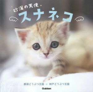  photoalbum sand .. angel sna cat |...... kingdom ( author ), Kobe .... kingdom ( author )