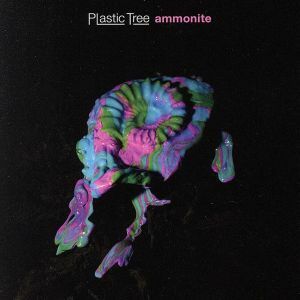 アンモナイト／Ｐｌａｓｔｉｃ　Ｔｒｅｅ